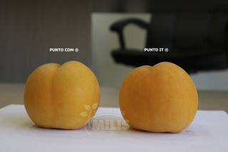 PUNTO COM ® Снимка 3